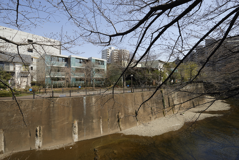 石神井川越しの公園と緑道がﾊﾞﾙｺﾆｰ前面に面しています。 柵を設けるのではなく、生垣として公園の植栽と敷地内の植栽が一体として広がりが出せるようにとお施主様よりご指導を頂いております。 一棟借り上げの学生賃貸マンションとなっております。