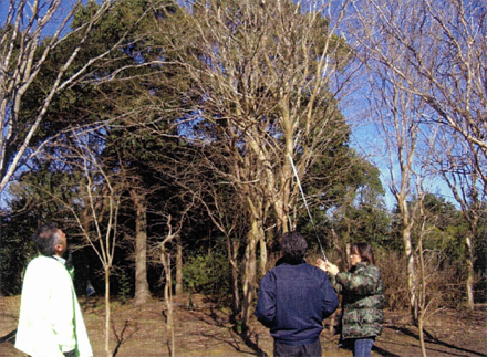 植栽工事　樹木見学会　樹木見学会