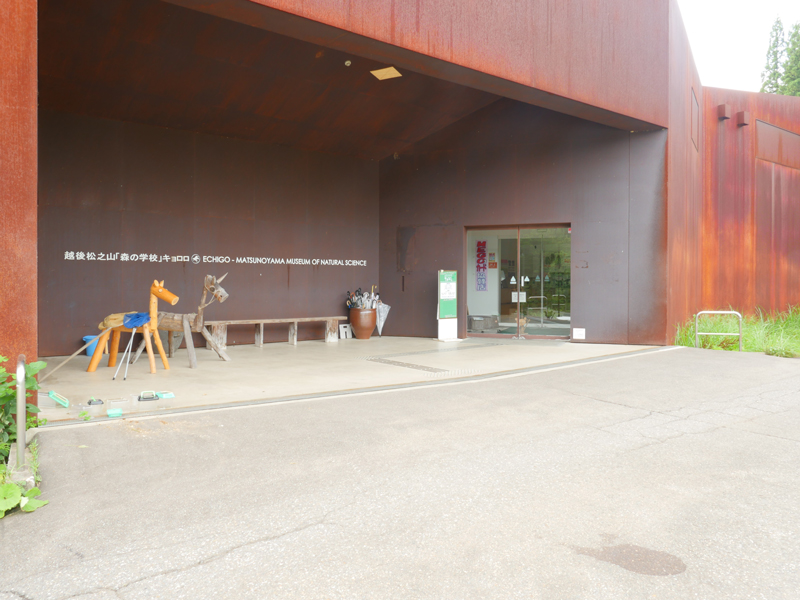 片岡直樹の建もの探訪｜越後松之山「森の学校」キョロロエントランス