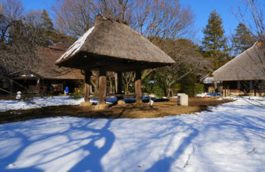 奄美の高倉（あまみのたかくら）｜江戸東京たてもの園 江戸時代末期頃 奄美大島にあった高床式の倉庫です。湿気や鼠の害から穀物を守るために、建物本体を地面から高く上げています。 このような高床式の建物は、東京都の八丈島などにも見られます。