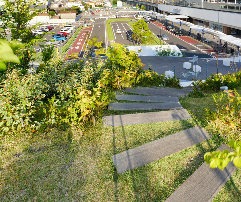 3Fテラス芝の傾斜｜太田市美術館・図書館｜住宅/ビル/マンション設計者の建もの探訪