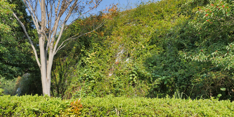 ぐりんぐりん福岡アイランドシティ中央公園｜住宅/ビル/マンション設計者の建もの探訪