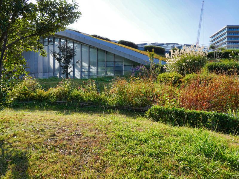 ぐりんぐりん福岡アイランドシティ中央公園｜住宅/ビル/マンション設計者の建もの探訪